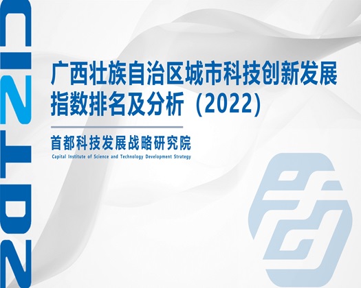 美女的鸡巴被爆草【成果发布】广西壮族自治区城市科技创新发展指数排名及分析（2022）